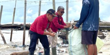 Rayakan HUT, Gerindra Kaltara Gelar Aksi Bersih Pantai di Pantai Amal