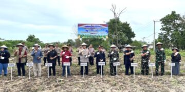 Polres tarakan melaksanakan Penanaman Jagung Serentak Kuartal I Dukung Swasembada Pangan 2026 di Tarakan Utara