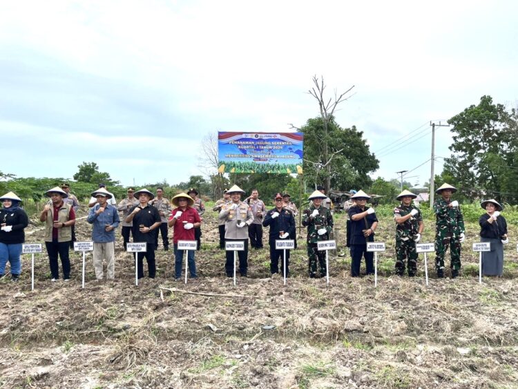 Polres tarakan melaksanakan Penanaman Jagung Serentak Kuartal I Dukung Swasembada Pangan 2026 di Tarakan Utara