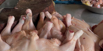 Isu Flu Burung di Tarakan Bikin Resah, Pelaku Usaha Pastikan Ayam Potong Aman Dikonsumsi