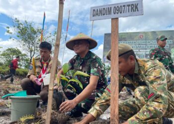 Penanaman Pohon Serentak di Kaltim–Kaltara, Tarakan Tanam 1.985 Pohon