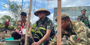 Penanaman Pohon Serentak di Kaltim–Kaltara, Tarakan Tanam 1.985 Pohon