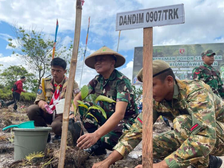 Penanaman Pohon Serentak di Kaltim–Kaltara, Tarakan Tanam 1.985 Pohon