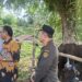 Pemkot Tarakan Perketat Pengawasan Hewan Kurban, Pastikan Bebas PMK dan AI