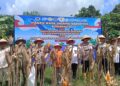 Penanaman Jagung di Kaltara Capai 244 Hektare, Dukung Program Ketahanan Pangan Nasional
