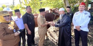Plt Wali Kota Tarakan Serahkan 9 Ekor Sapi Kurban, Termasuk Bantuan Presiden Prabowo