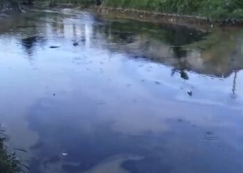 PDAM Tarakan Tutup Intake IPA Kampung Bugis Akibat Pencemaran Limbah Oli, 10 Ribu Pelanggan Terdampak