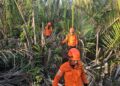 Hari Kedua Pencarian, Tim SAR Gabungan Lakukan Pencarian di Hutan Pesisir Karang Anyar Pantai Cari Warga Hilang