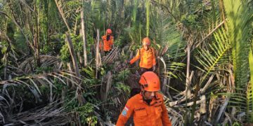 Hari Kedua Pencarian, Tim SAR Gabungan Lakukan Pencarian di Hutan Pesisir Karang Anyar Pantai Cari Warga Hilang