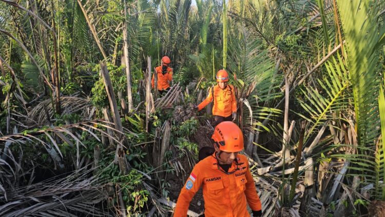 Hari Kedua Pencarian, Tim SAR Gabungan Lakukan Pencarian di Hutan Pesisir Karang Anyar Pantai Cari Warga Hilang