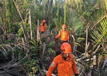 Hari Kedua Pencarian, Tim SAR Gabungan Sisir Hutan Rumah Adat Tidung Cari Warga Hilang