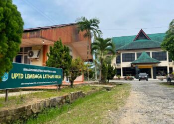 644 Pencari Kerja Terdaftar di Tarakan hingga Mei 2025, Disnaker Rencanakan Job Fair