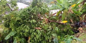BPBD Tarakan Waspadai Longsor Susulan Meski Cuaca Cerah
