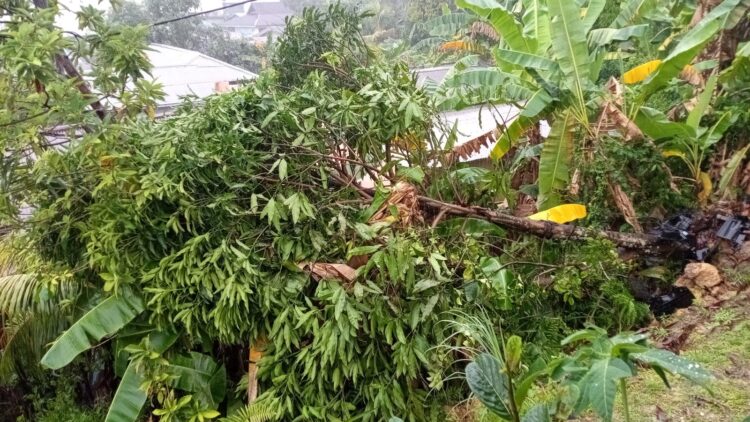 BPBD Tarakan Waspadai Longsor Susulan Meski Cuaca Cerah
