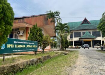 Dinas Ketenagakerjaaan Tarakan Targetkan 30–40 Persen Pencari Kerja Terserap Dunia Usaha