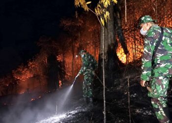 Kodim 0907/Tarakan Kerahkan Personel dan Mobil Damkar Padamkan Api di Pantai Amal