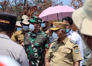Jalan Amal Lama Ditutup Sementara, Wali Kota Tarakan Tinjau Kebakaran Batu Bara