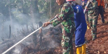 Karhutla Melanda Juata Kerikil, Api Berhasil Dipadamkan dalam Waktu Kurang dari Satu Jam