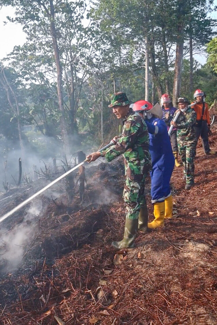 Karhutla Melanda Juata Kerikil, Api Berhasil Dipadamkan dalam Waktu Kurang dari Satu Jam