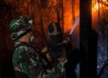 Musim Kemarau, Kodim 0907 Tarakan Siagakan 100 Personel Cegah Karhutla