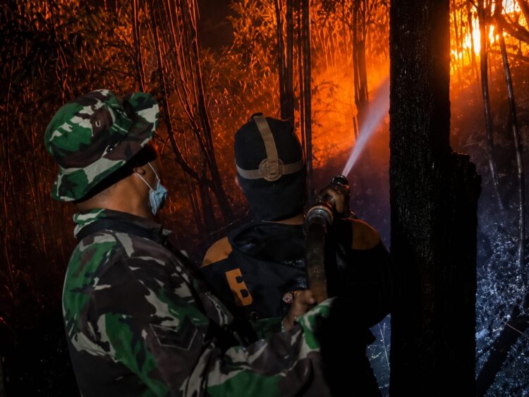 Musim Kemarau, Kodim 0907 Tarakan Siagakan 100 Personel Cegah Karhutla