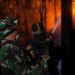Musim Kemarau, Kodim 0907 Tarakan Siagakan 100 Personel Cegah Karhutla