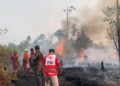 PMI Kabupaten Bulungan Turut Andil dalam Pemadaman Kebakaran Hutan di Desa Mangkupadi