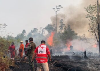 PMI Kabupaten Bulungan Turut Andil dalam Pemadaman Kebakaran Hutan di Desa Mangkupadi