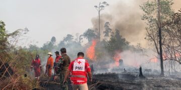 PMI Kabupaten Bulungan Turut Andil dalam Pemadaman Kebakaran Hutan di Desa Mangkupadi