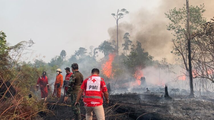 PMI Kabupaten Bulungan Turut Andil dalam Pemadaman Kebakaran Hutan di Desa Mangkupadi