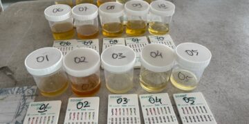 BNNP Kaltara Lakukan Tes Urine Acak di Pelabuhan Tengkayu I, 15 Orang Clear