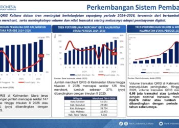 Kredit Investasi Perbankan di Kaltara Tumbuh 91 Persen, Digitalisasi Transaksi Makin Meluas