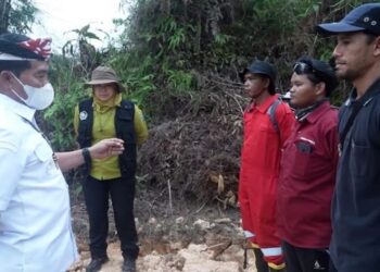 Gubernur Kaltara Ikuti Rakor Nasional, Pencegahan Karhutla Diperkuat