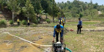 BWS Kalimantan V Salurkan Pompa Air untuk Atasi Kekeringan Sawah di Tarakan