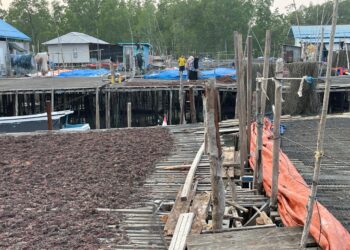 Anggota DPRD Tarakan Asrin R. Saleh Dorong Pembangunan Infrastruktur Pesisir Tetap Jadi Prioritas