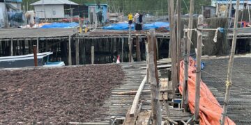 Anggota DPRD Tarakan Asrin R. Saleh Dorong Pembangunan Infrastruktur Pesisir Tetap Jadi Prioritas