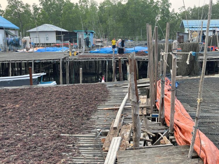 Anggota DPRD Tarakan Asrin R. Saleh Dorong Pembangunan Infrastruktur Pesisir Tetap Jadi Prioritas