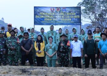 TMMD Ke-130 Kodim Tarakan Tanam Jagung di Lahan Satu Hektare, Dukung Ketahanan Pangan