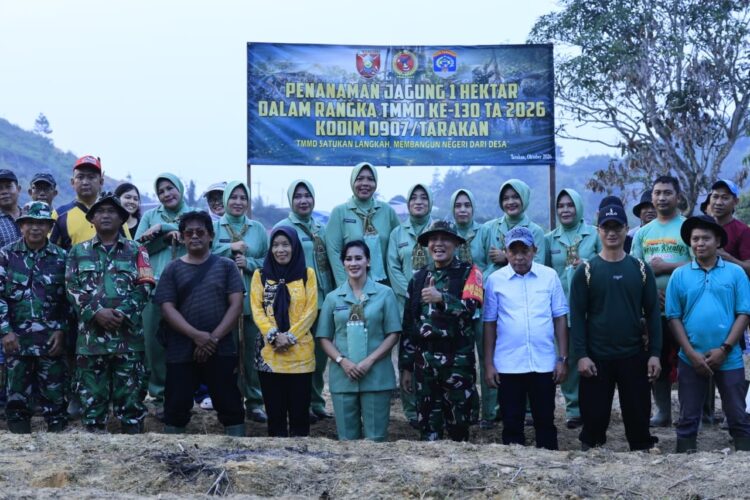 TMMD Ke-130 Kodim Tarakan Tanam Jagung di Lahan Satu Hektare, Dukung Ketahanan Pangan