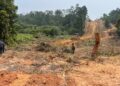 Dansatgas TMMD ke-130 Tinjau Pembukaan Jalan 2,5 Kilometer di Mamburungan